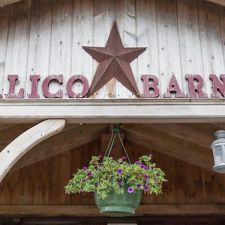 Calico Barn Hostel Widdrington Εξωτερικό φωτογραφία