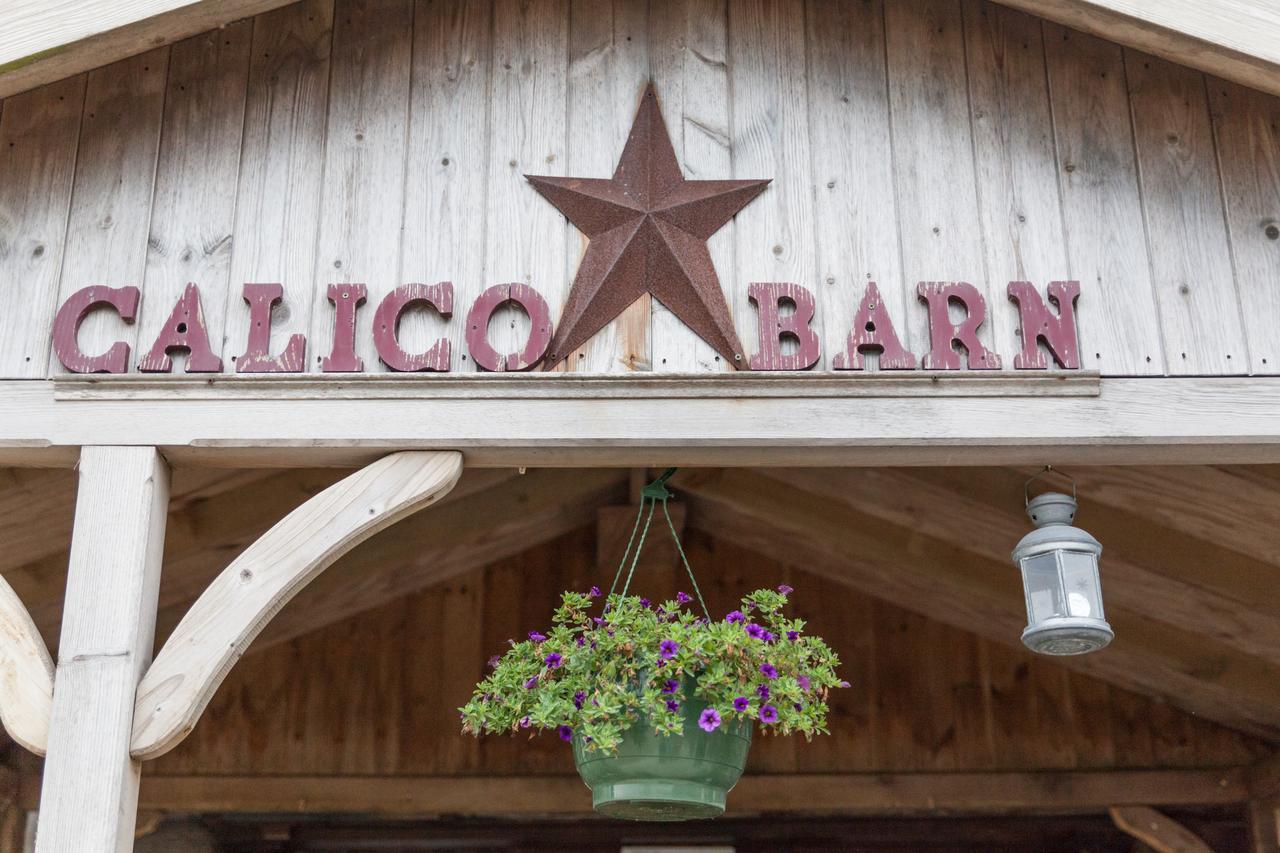 Calico Barn Hostel Widdrington Εξωτερικό φωτογραφία